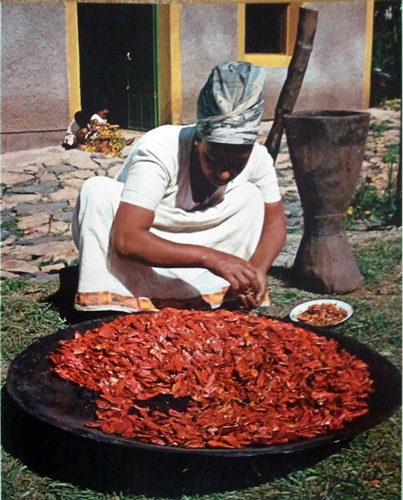 Ethiopian Spices